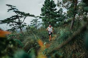 BIB: 
                            <button type="button" onclick="openModal(25259586)" class="btn btn-primary btn-sm float-right btn-popup" data-toggle="modal" data-target=".modal-high-quality">
                        <i class="fas fa-shopping-cart"></i> Add to Cart
                    </button>
                                            <button type="button" onclick="isThisMe(25259586, true)" class="btn btn-success btn-sm float-right btn-popup btn-isme hidden" data-toggle="tooltip" data-placement="bottom" title="นี่คือรูปของคุณใช่ไหม คลิกที่นี่เพื่อเอาเข้าอัลบั้ม">
                        <i class="fas fa-plus"></i> Add to album
                    </button>
                    <button type="button" onclick="isThisMe(25259586, false)" class="btn btn-warning btn-sm float-right btn-popup btn-isnotme hidden">
                        <i class="fas fa-ban"></i> Remove from album
                    </button>